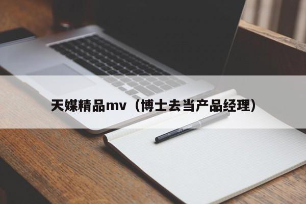天媒精品mv（博士去当产品经理）