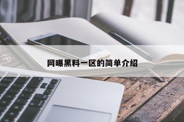 网曝黑料一区的简单介绍
